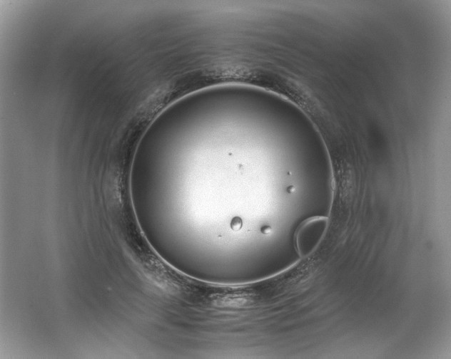 X0000062670643200512211336