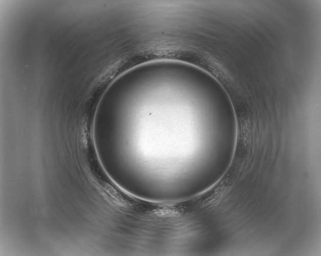 X0000062670644200512211336