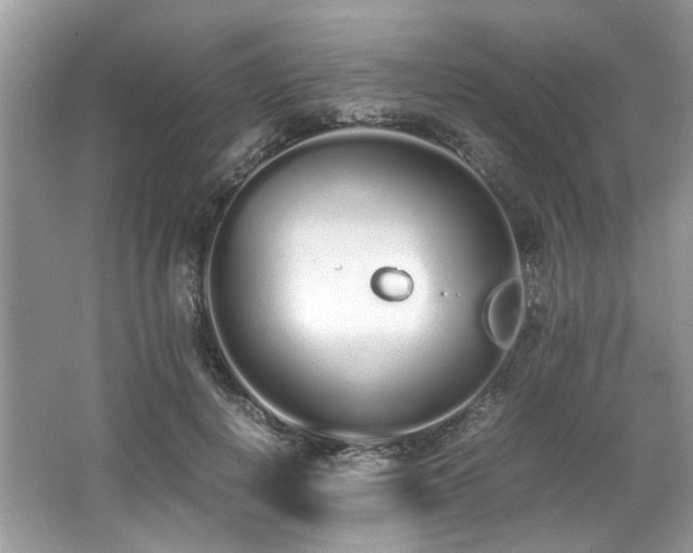 X0000062670648200512211336