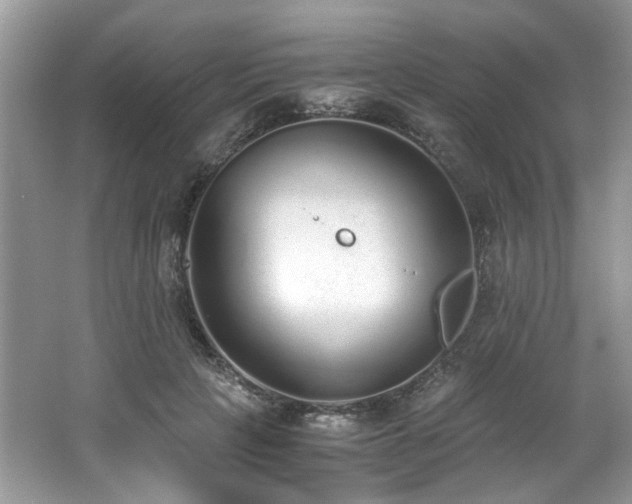 X0000062670649200512211336