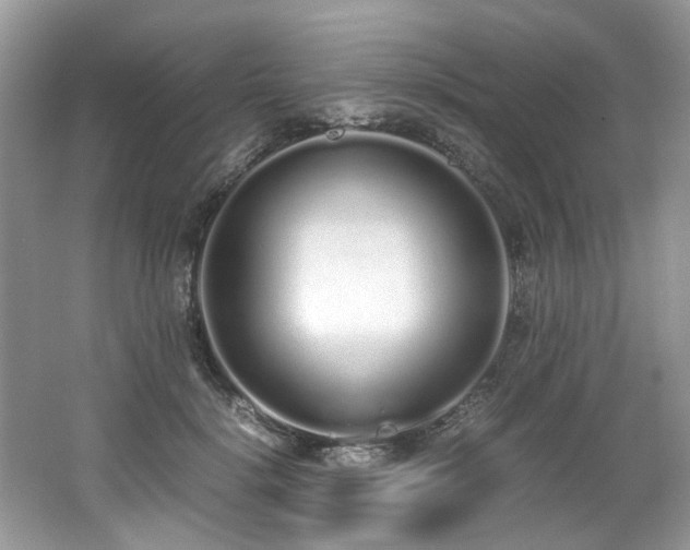 X0000062670652200512211336