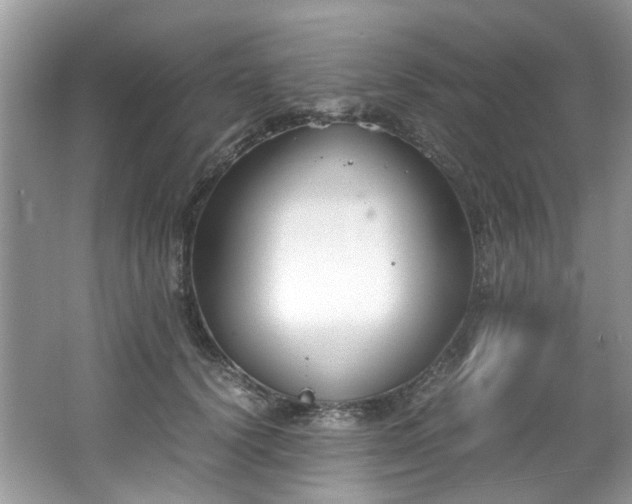 X0000062670656200512211336