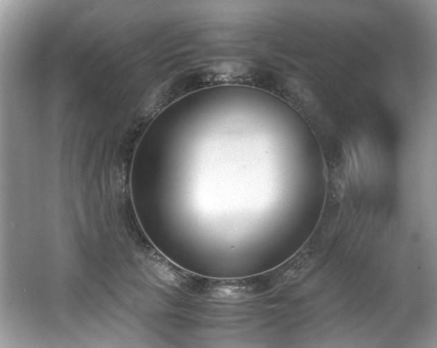 X0000062670657200512211336