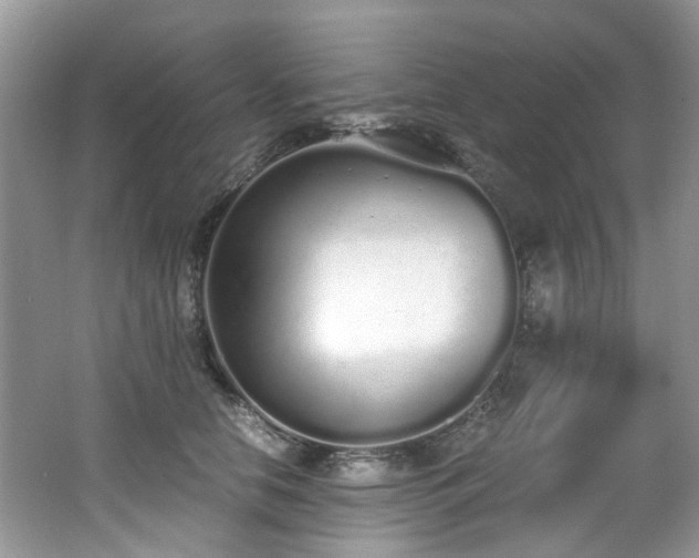 X0000062670658200512211336