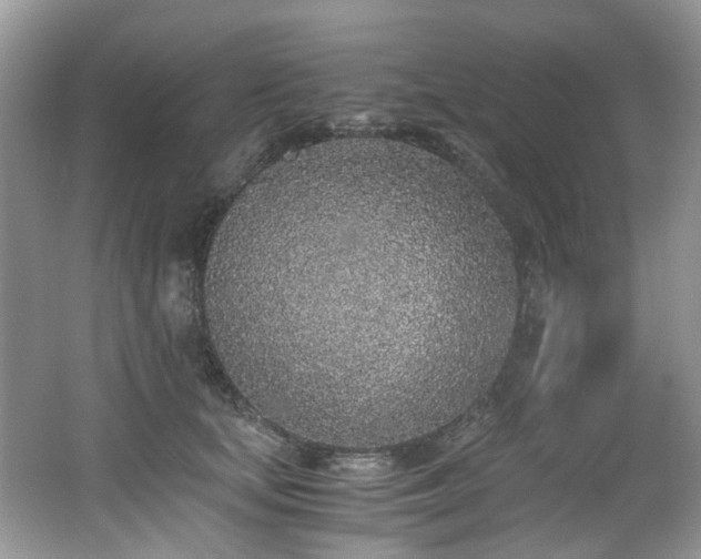 X0000062670659200512211336