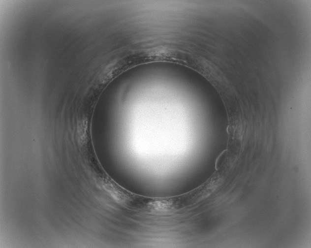 X0000062670660200512211336