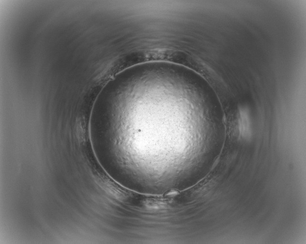 X0000062670661200512211336