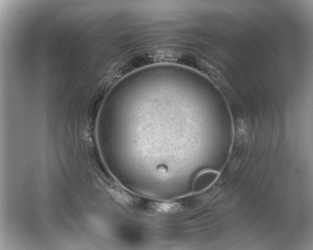 X0000062670663200512211336