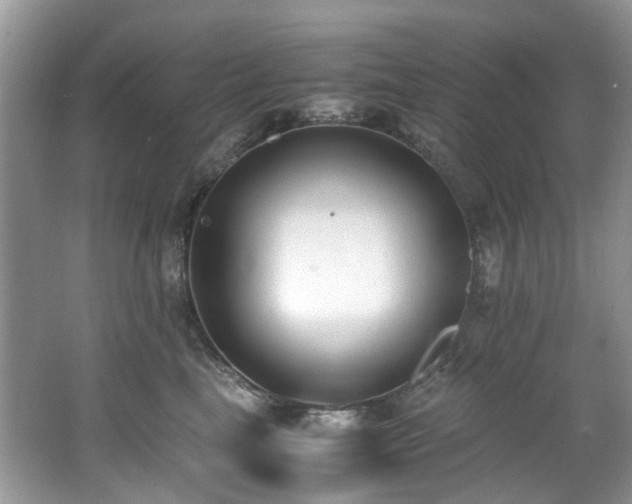 X0000062670665200512211336