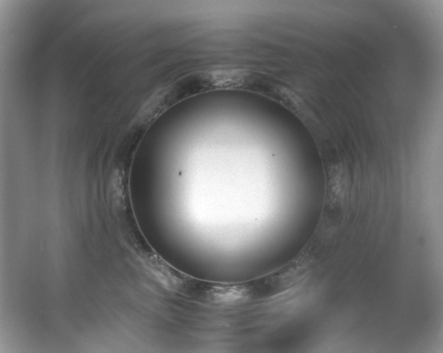 X0000062670667200512211336