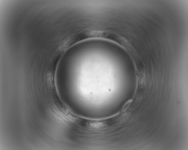 X0000062670669200512211336