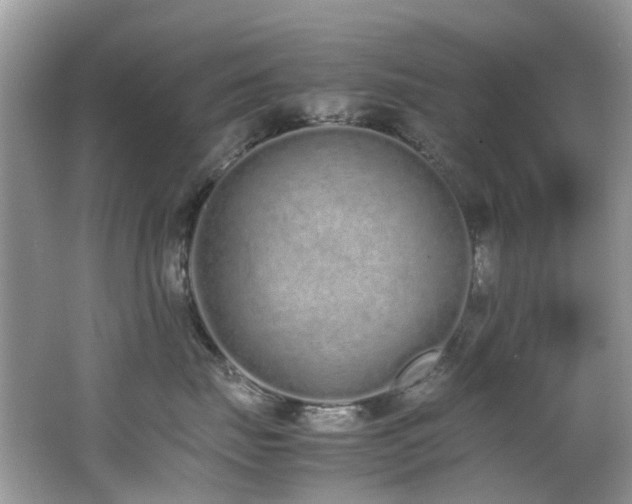 X0000062670671200512211337