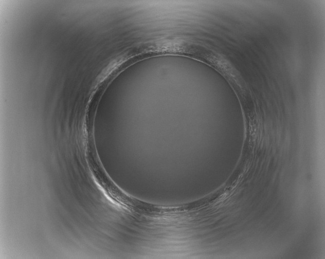 X0000062670674200512211336