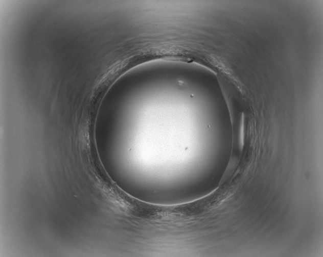 X0000062670681200512211336