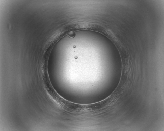 X0000062670683200512211336