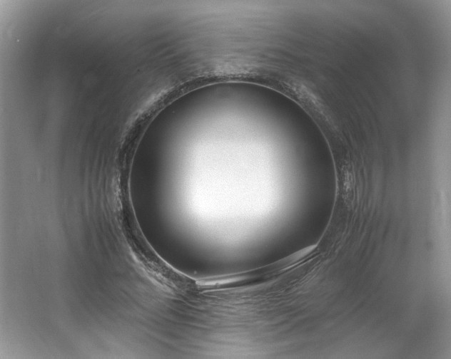 X0000062670684200512211335