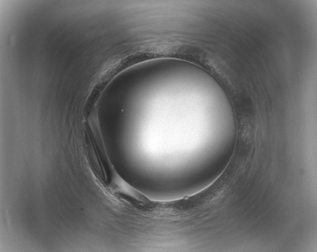 X0000062670685200512211335