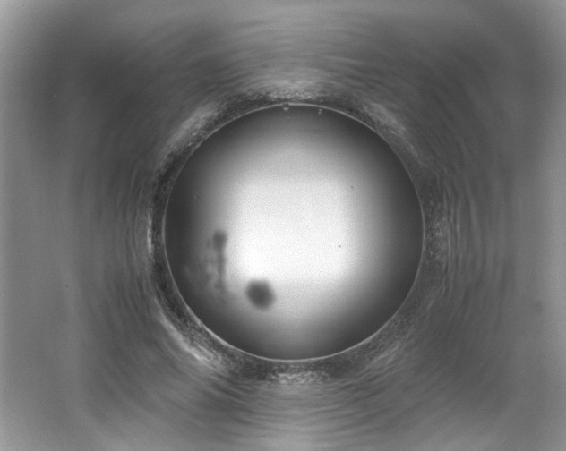 X0000062670686200512211335