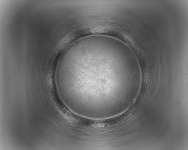 X0000062670687200512211335