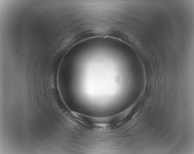 X0000062670689200512211335