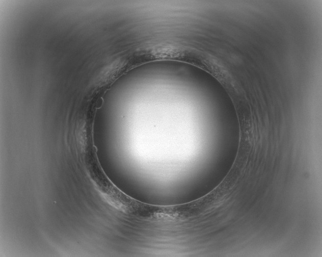 X0000062670690200512211335