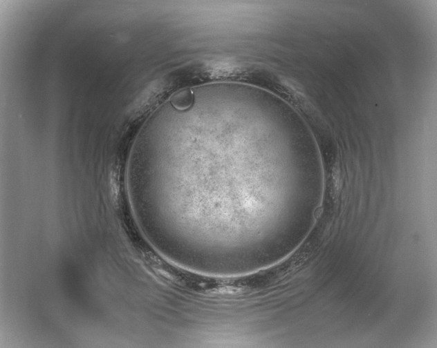 X0000062670691200512211335