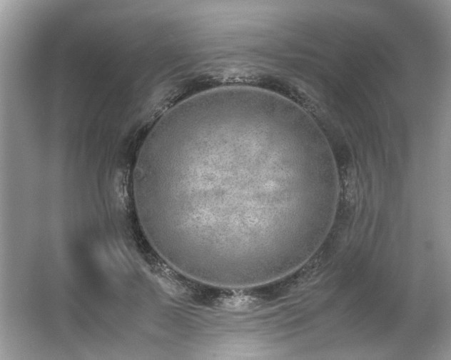 X0000062670695200512211335