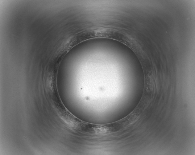 X0000062670698200512211335