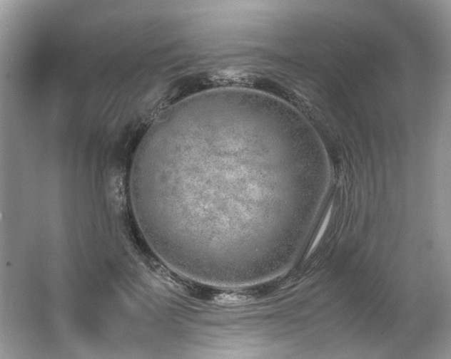 X0000062670699200512211335