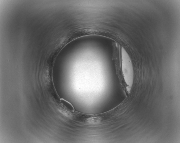 X0000062670700200512211335