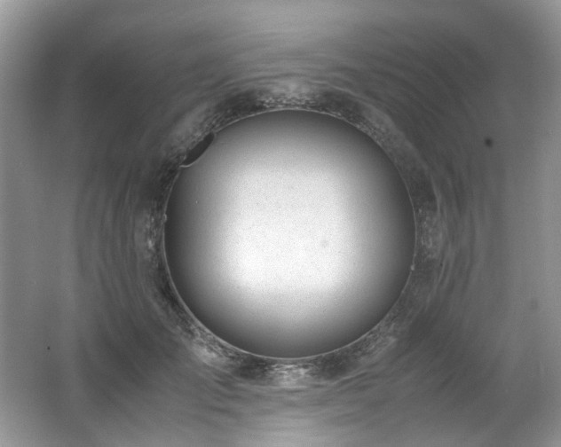 X0000062670701200512211335