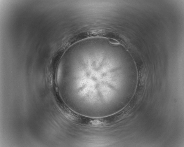 X0000062670703200512211335