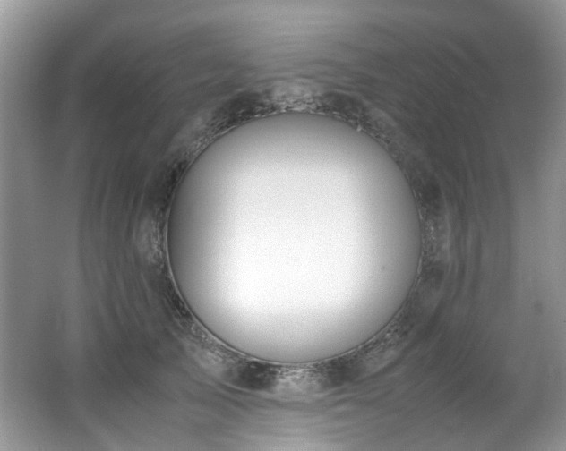 X0000062670705200512211335