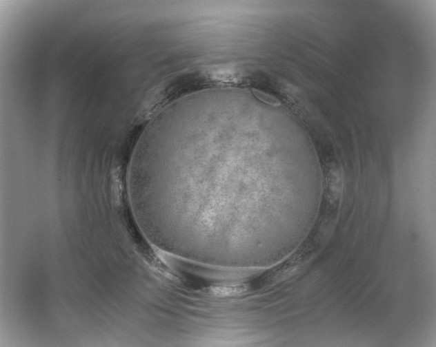 X0000062670707200512211335