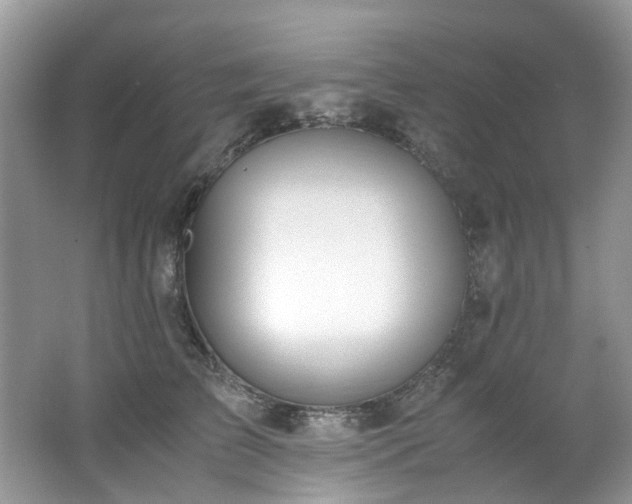 X0000062670709200512211335