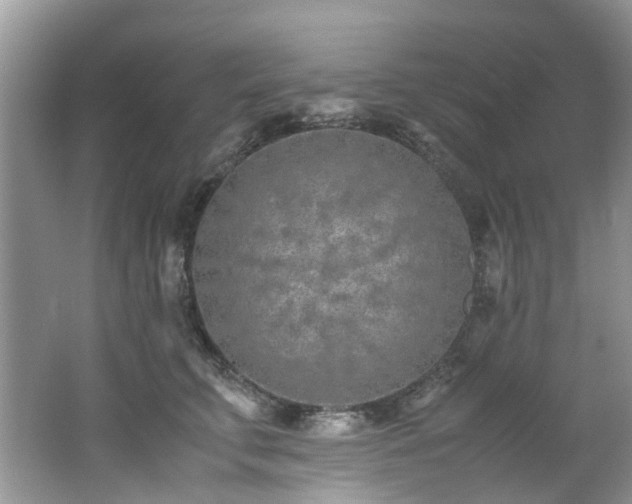 X0000062670711200512211335