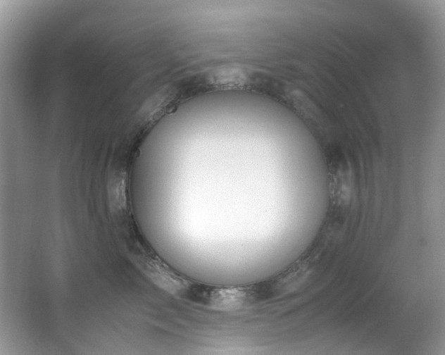 X0000062670717200512211335