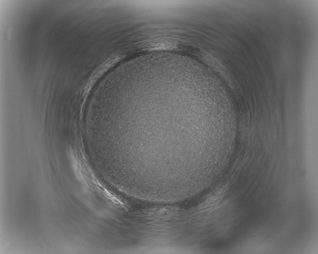 X0000062670721200512211334