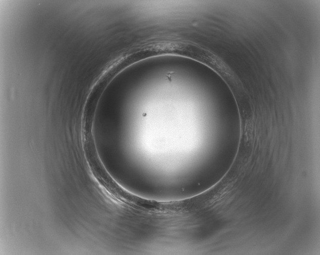 X0000062670722200512211334