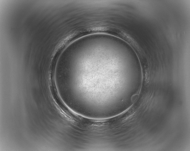 X0000062670725200512211334