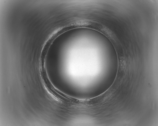 X0000062670726200512211334