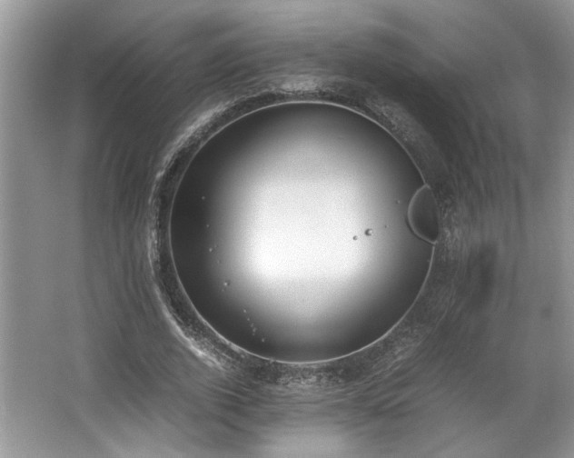 X0000062670728200512211334