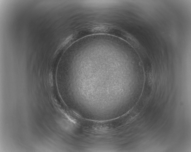 X0000062670729200512211334