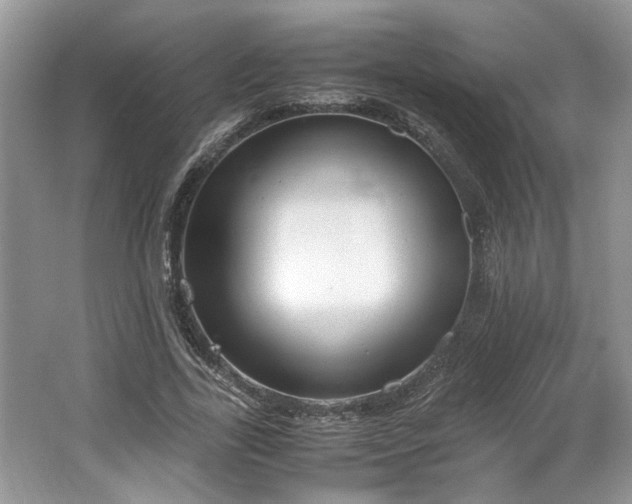 X0000062670731200512211334