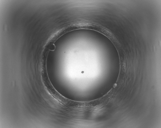 X0000062670732200512211334