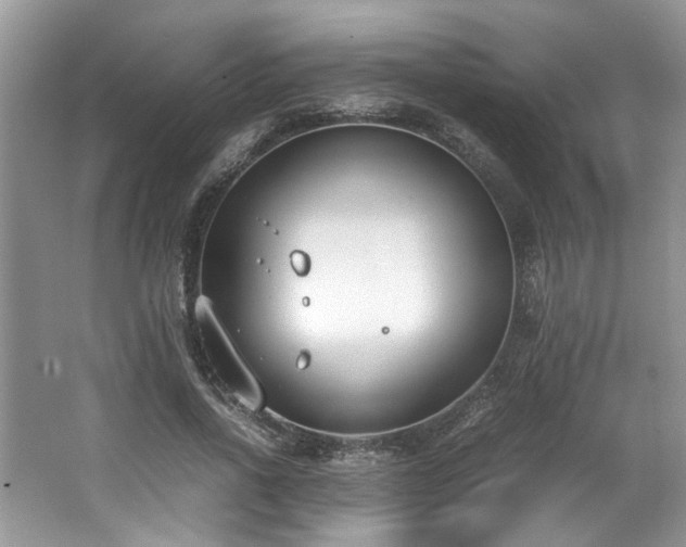 X0000062670734200512211334