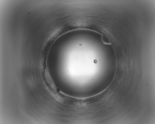 X0000062670735200512211334