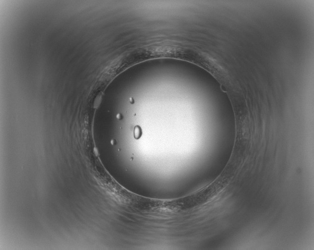 X0000062670737200512211334