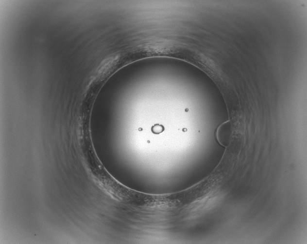 X0000062670738200512211334