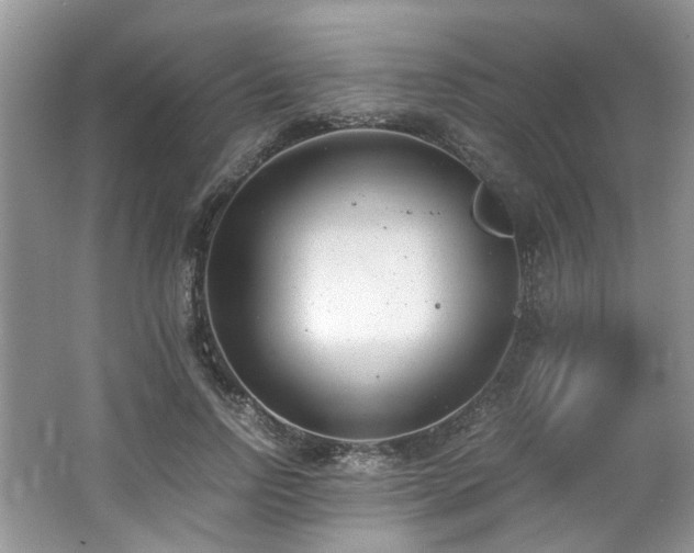 X0000062670742200512211334